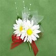 �f�[�W�[2�� �z���C�g�i�����i�j