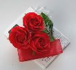 �L�b�g ���u���[���[�Y3�� ��(�P�[�X�t�j