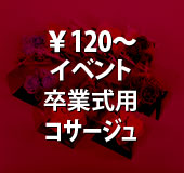 ���Ǝ��p�R�T�[�W����120�`����